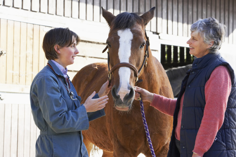 Relationship with your veterinarian