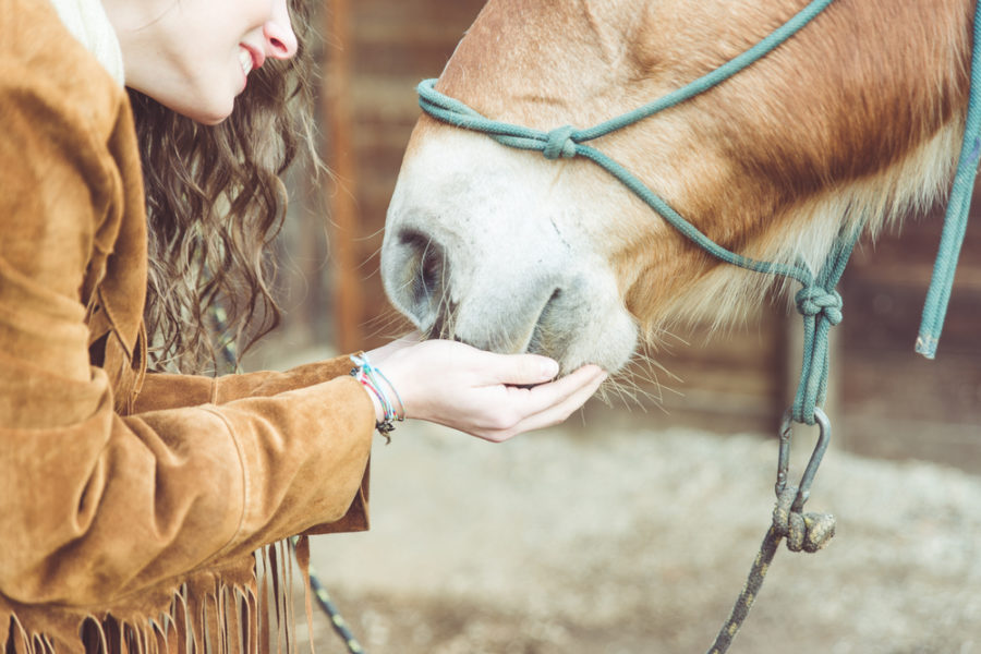 Should I give my horse supplements?