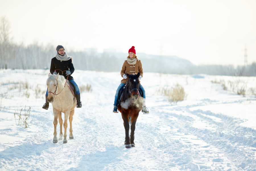 Help your horses adjust to colder temperatures