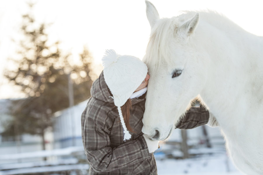 Help for your horse’s cold weather stiffness