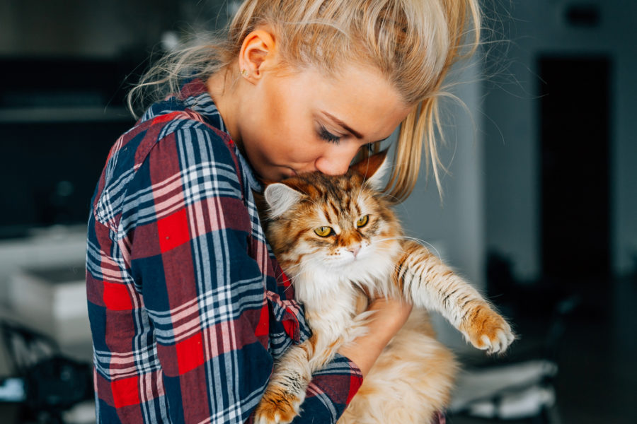 10 signs you're a crazy cat lady