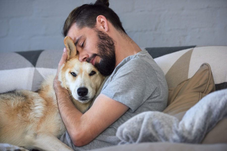 Americans value their pets now more than ever