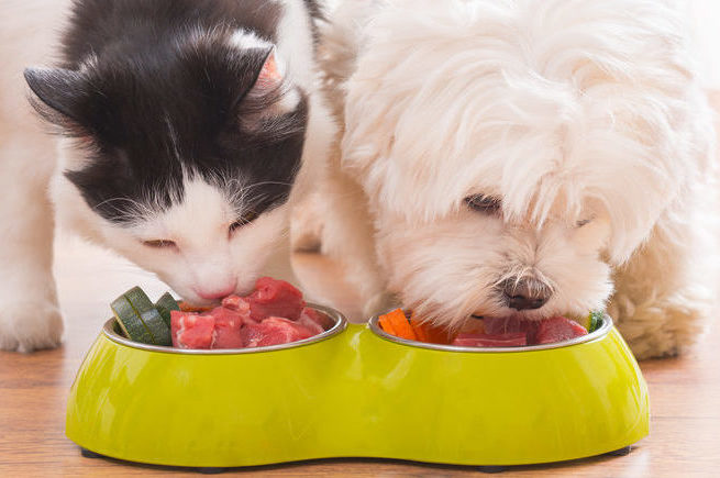 Organ meats — superfoods for dogs and cats