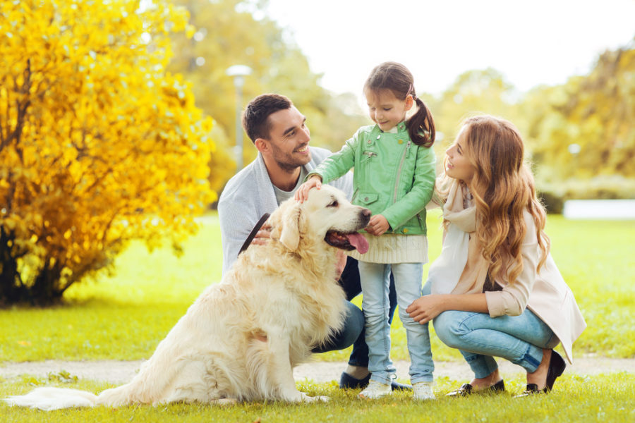 Introducing your dog to a blended family