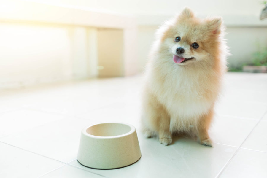 Nature’s Logic® is creating a better planet, one batch of pet food at a time