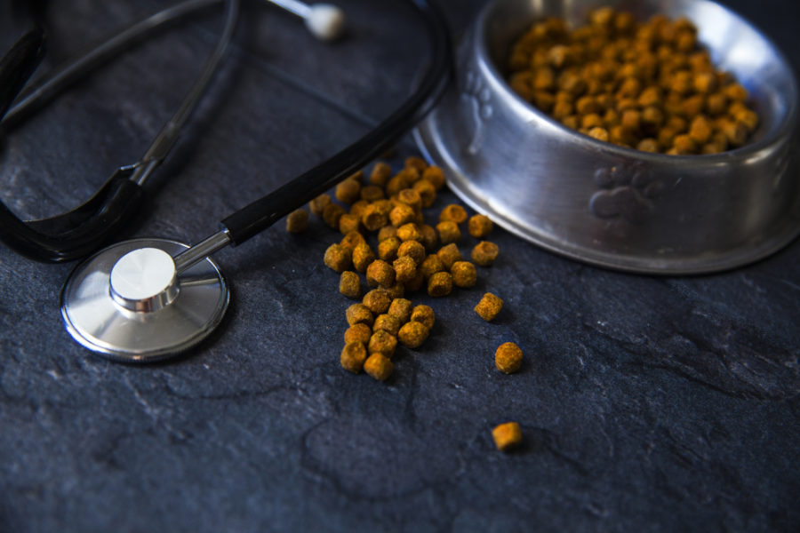 Could your pet’s diet be affecting his heart health?