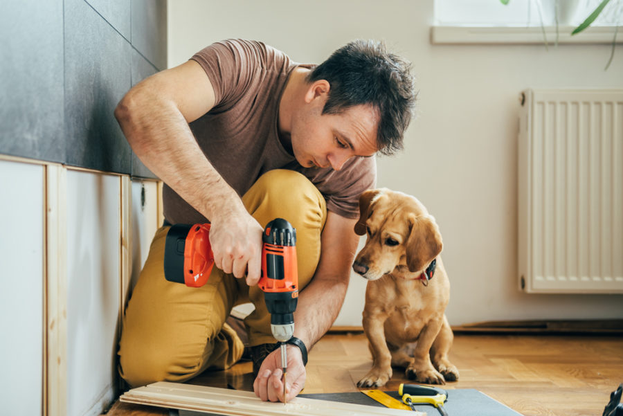 Animal-friendly remodeling