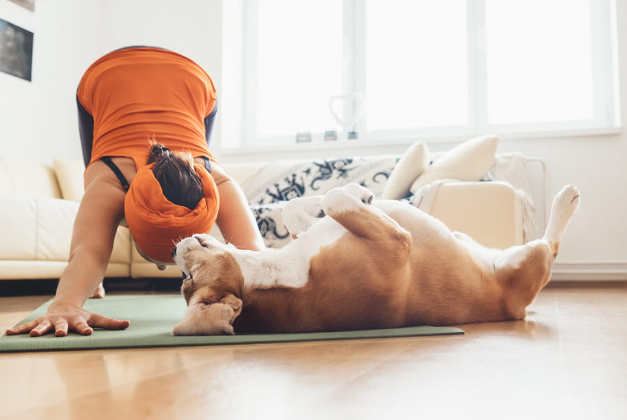 10 self care tips for dog parents