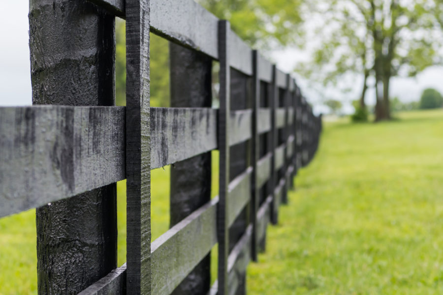 Fence options