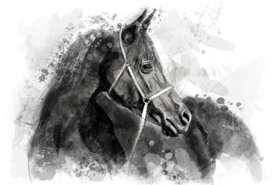Equine Leaky Gut Syndrome - nutrients for a healthy gastrointestinal tract