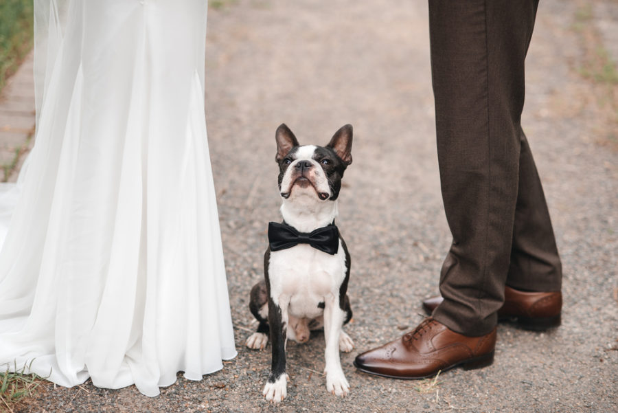 How to incorporate your dog into your wedding