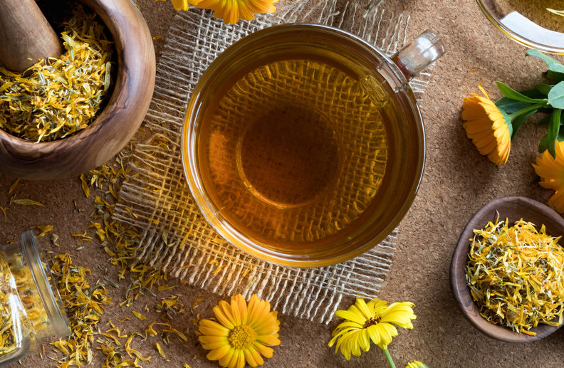 Calendula for horses