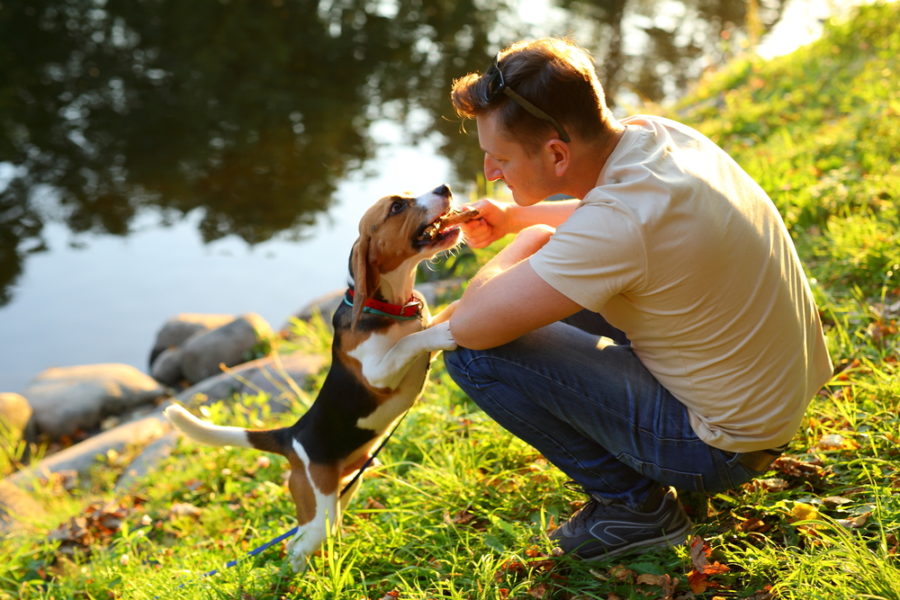 Dog ownership linked to genetic makeup