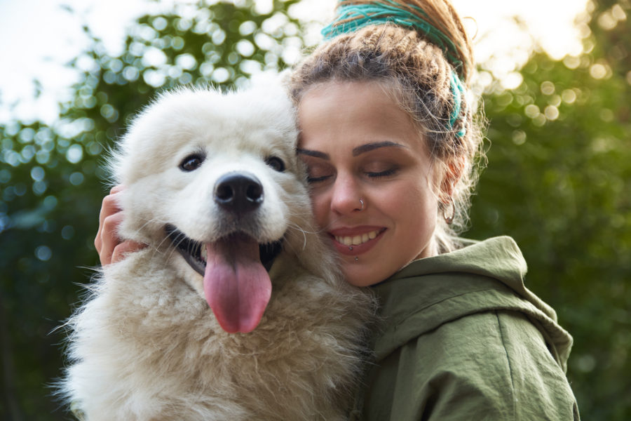 More North Americans are becoming vegan – could our love of pets be the reason?