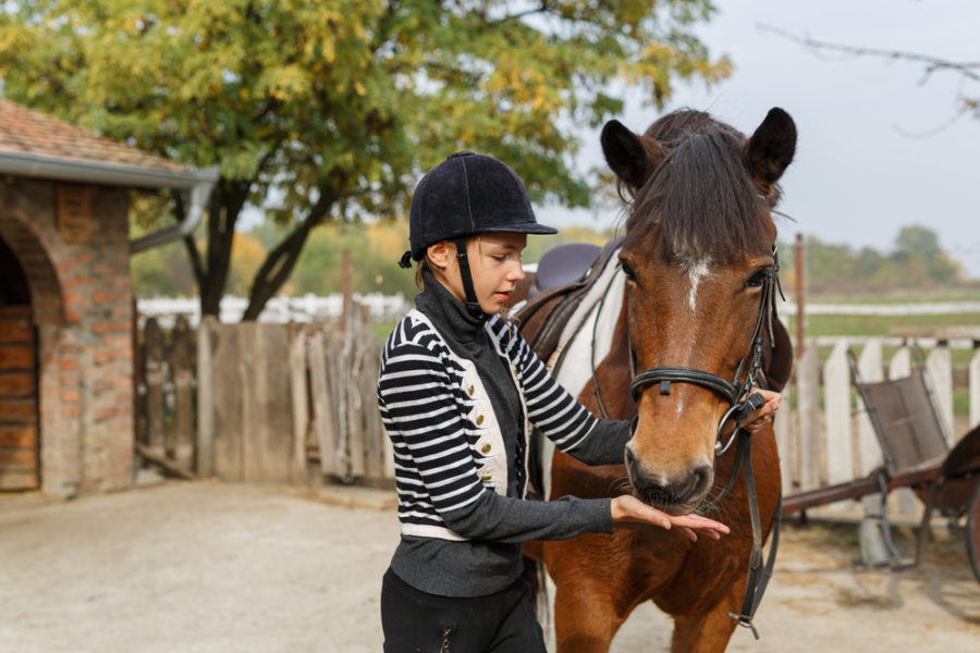 Common supplements for horses