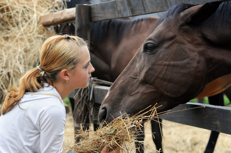 What you need to know about equine diarrhea