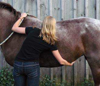 2. Stand safely - grab the mane and reach for the points