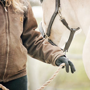 mishandling your horse