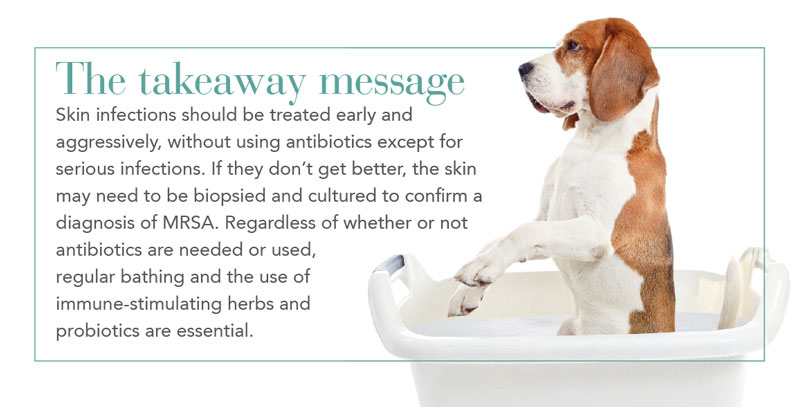 takeaway message sidebar