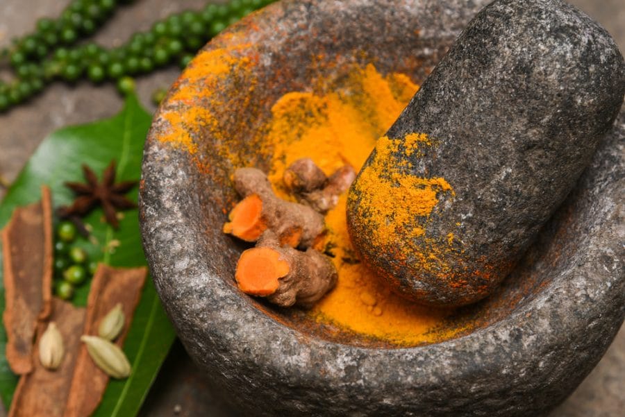 Ayurveda in veterinary medicine