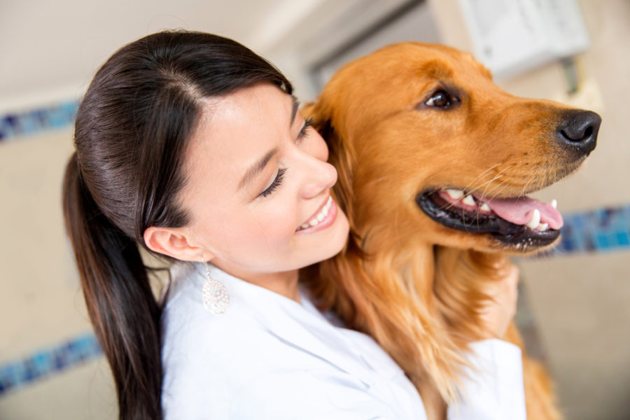 The importance of holistic veterinary care