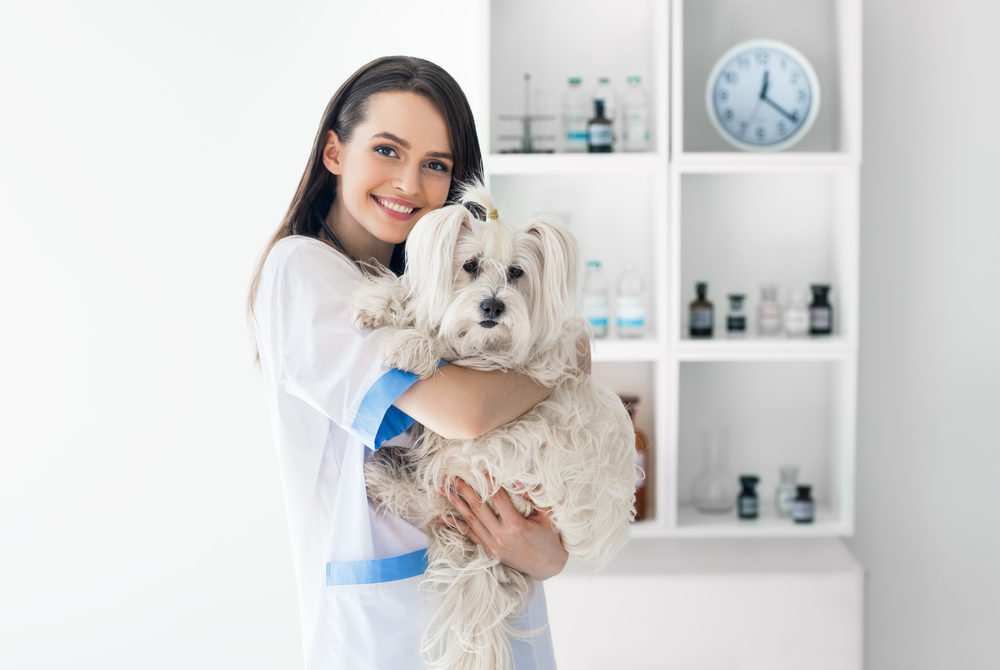 Saving lives with holistic veterinary care