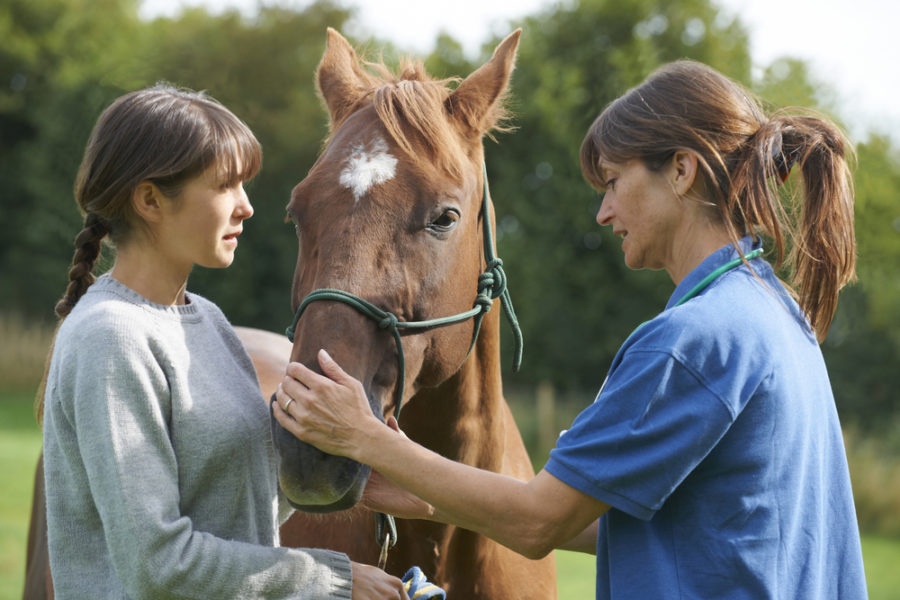 Treating the cause of your horse's disease