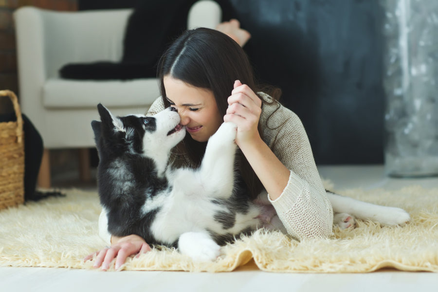 How to keep your dog happy indoors