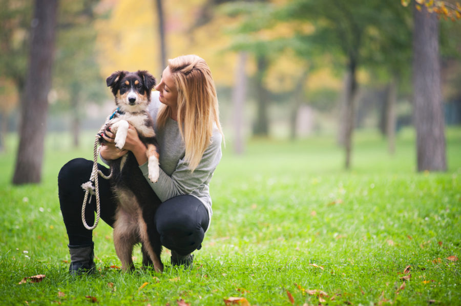 All about animal behaviorists