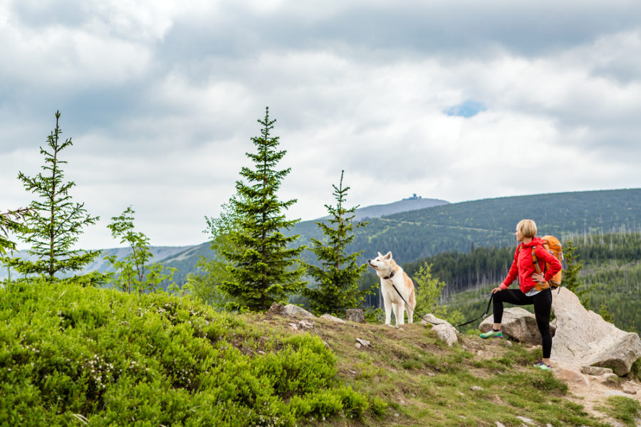 Go for a walk with your dog