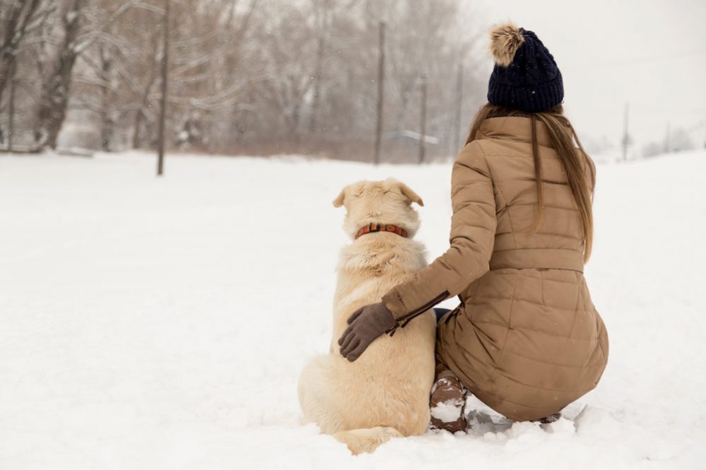 winter safety tips for dogs