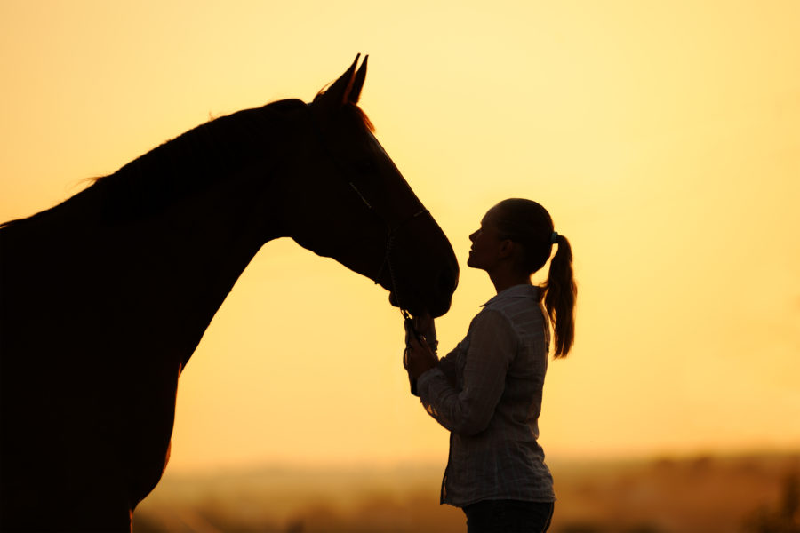 One Planet, One Health – human, equine and ecosystem wellness