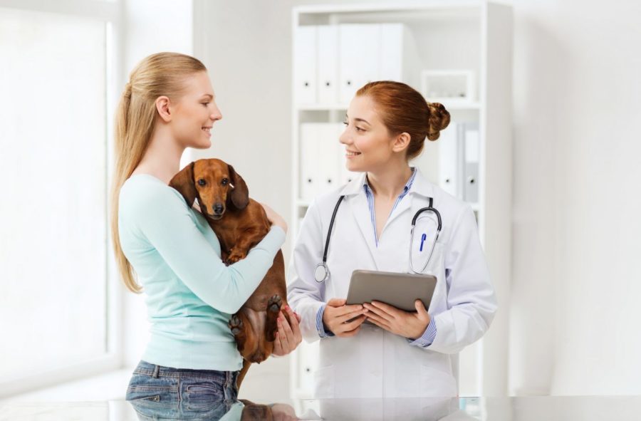 finding a veterinarian for your pet