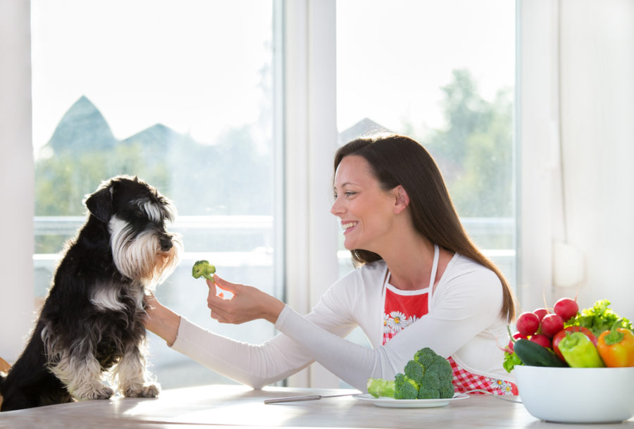 Brain food for your dog