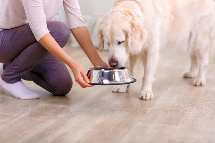 Creating a fresh food program for your clients