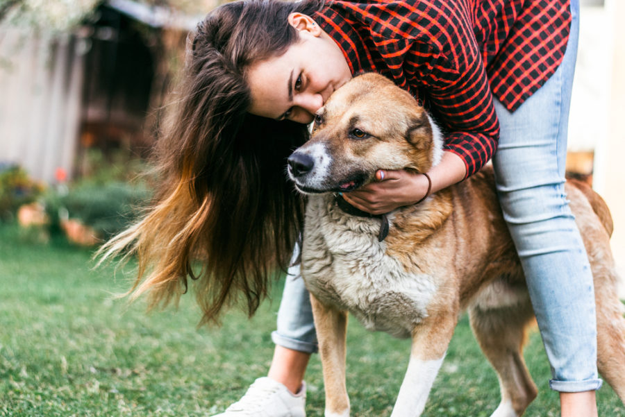 A rescue for pets with disabilities