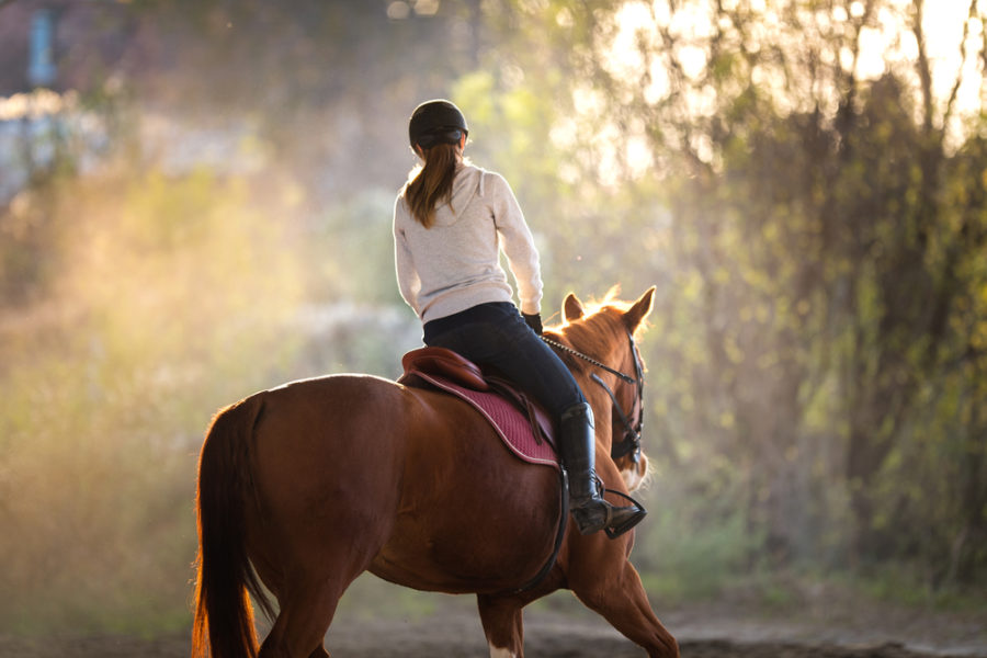 Crookedness in horses