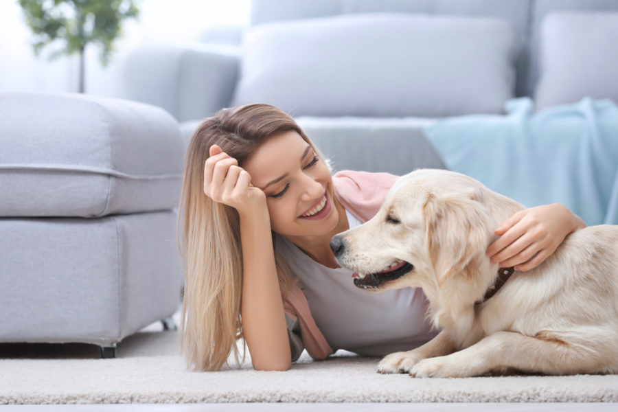 5 steps to becoming a successful professional pet sitter
