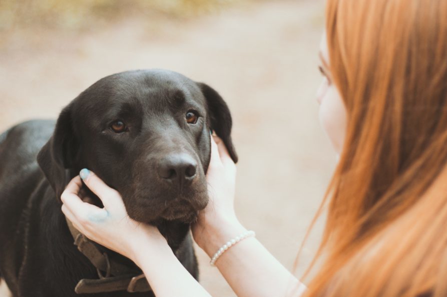 10 ways to be a more responsible dog parent