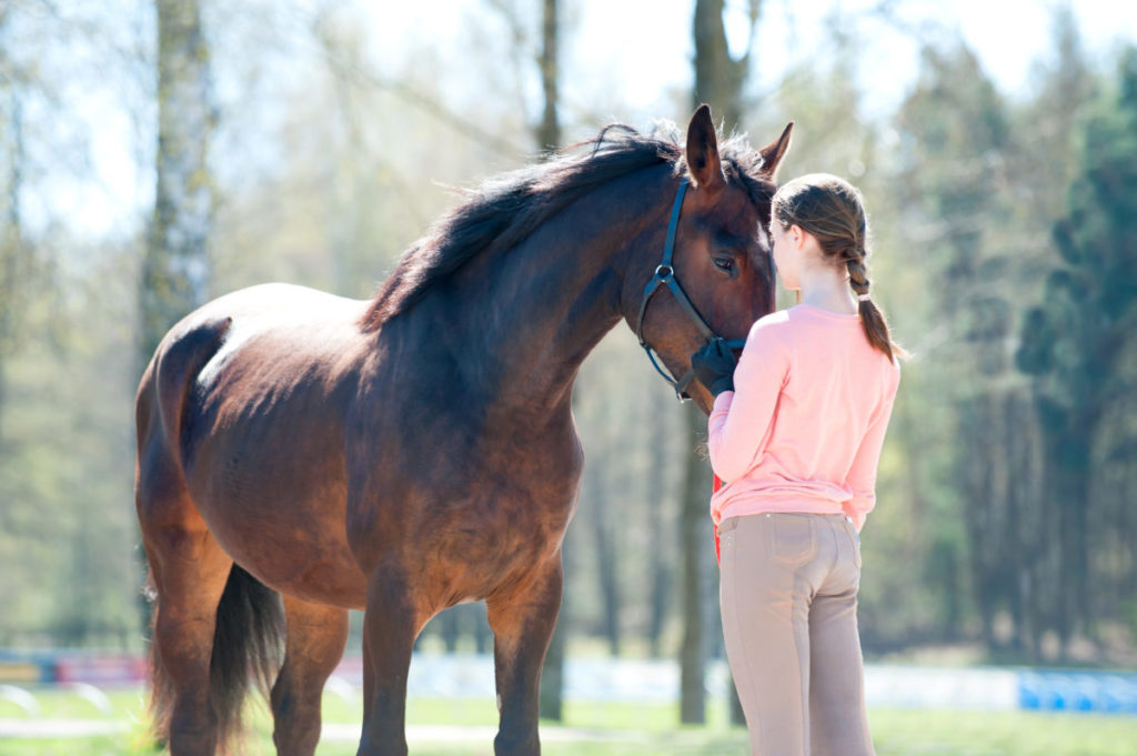 Lameness in your equine partner