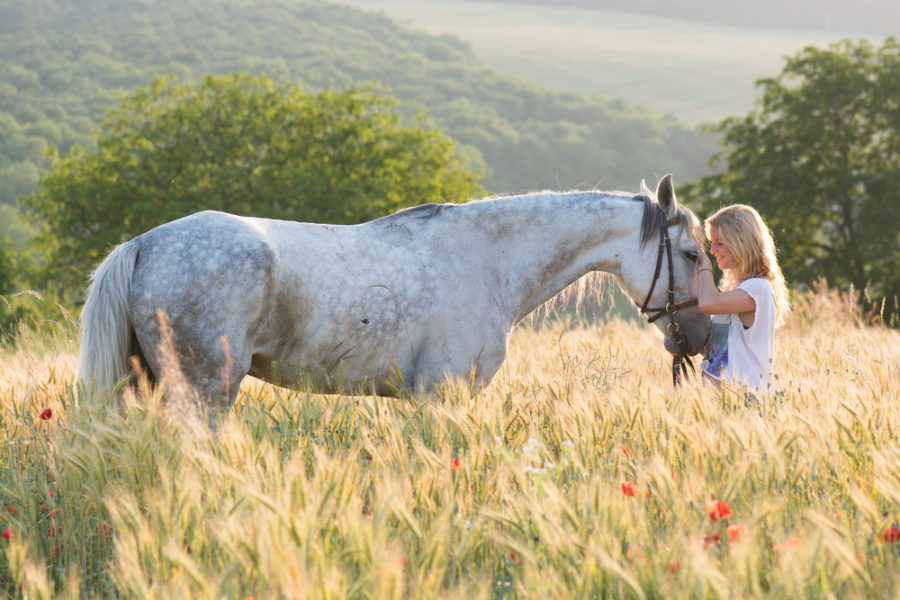 Pepper: A laminitis case study