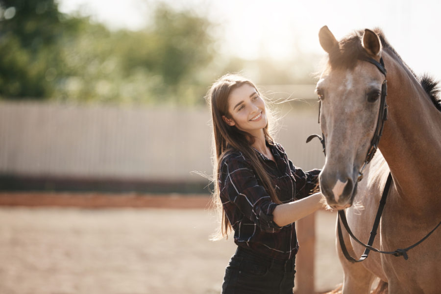 Back to school: acupressure and massage for horses