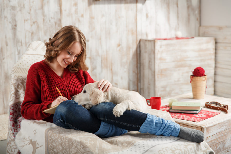 6 steps to a happy puppy