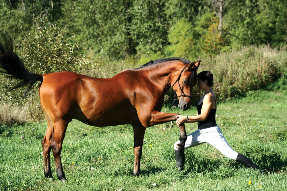 yoga with your horse