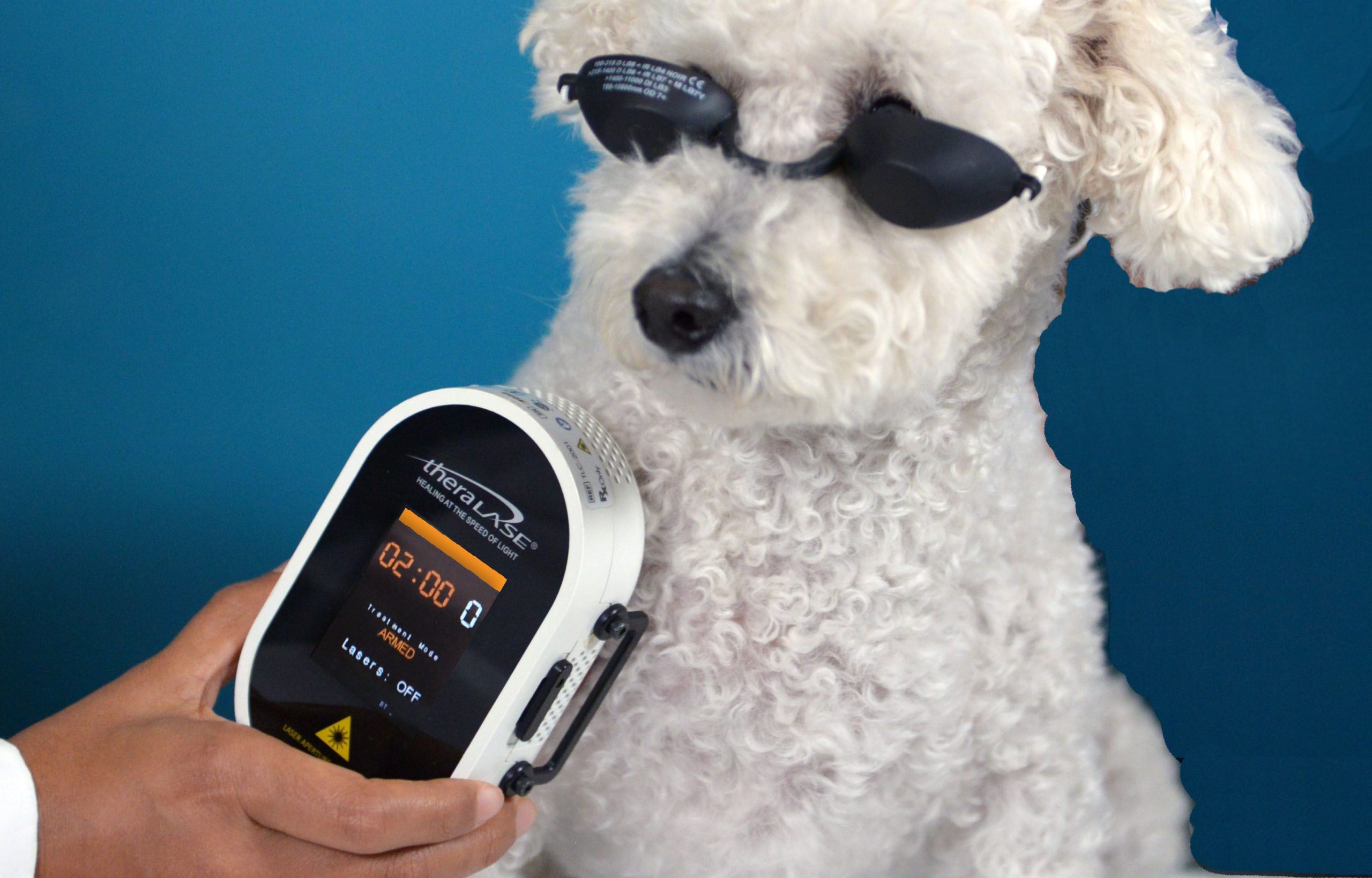 Choosing a Cool Laser Therapy device for your practice