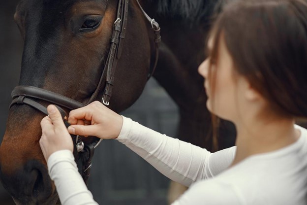 5 mistakes made by new horse riders