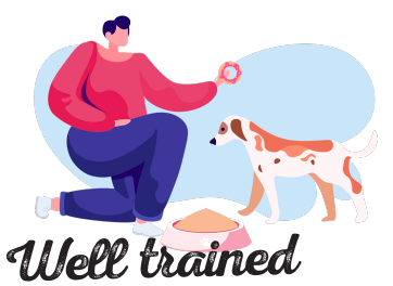 pet services