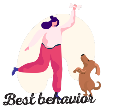 pet services