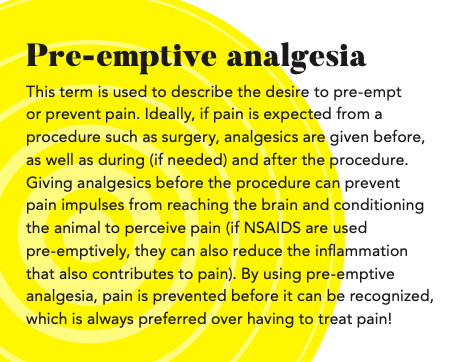 Anesthesia, analgesia, or sedation