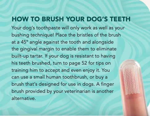 toothpaste